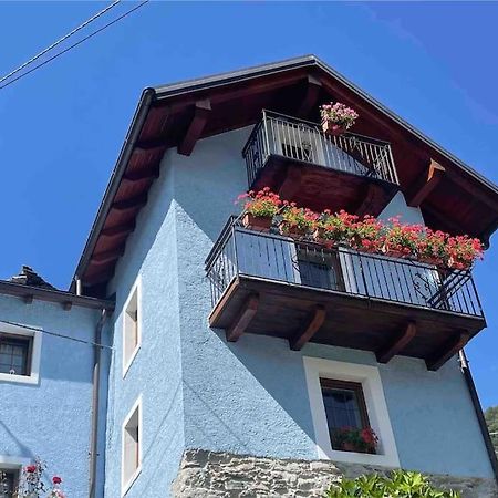 Casa Del Cios Calda E Intima Casetta Immersa Nel Verde Delle Montagne Alpe Basciumo Екстериор снимка