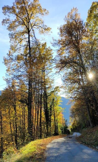 Casa Del Cios Calda E Intima Casetta Immersa Nel Verde Delle Montagne Alpe Basciumo Екстериор снимка