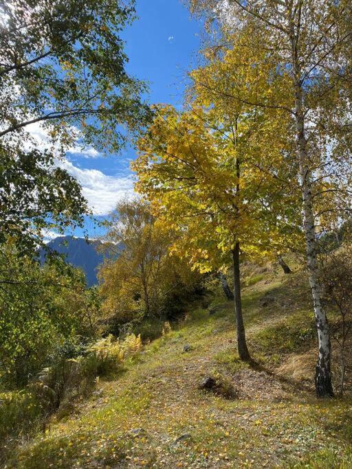 Casa Del Cios Calda E Intima Casetta Immersa Nel Verde Delle Montagne Alpe Basciumo Екстериор снимка