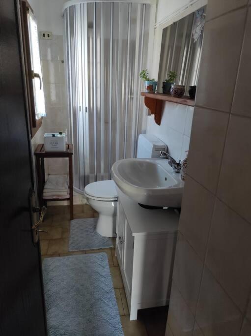 Casa Del Cios Calda E Intima Casetta Immersa Nel Verde Delle Montagne Alpe Basciumo Екстериор снимка